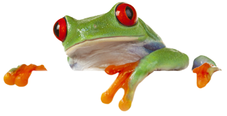 frog-knockout