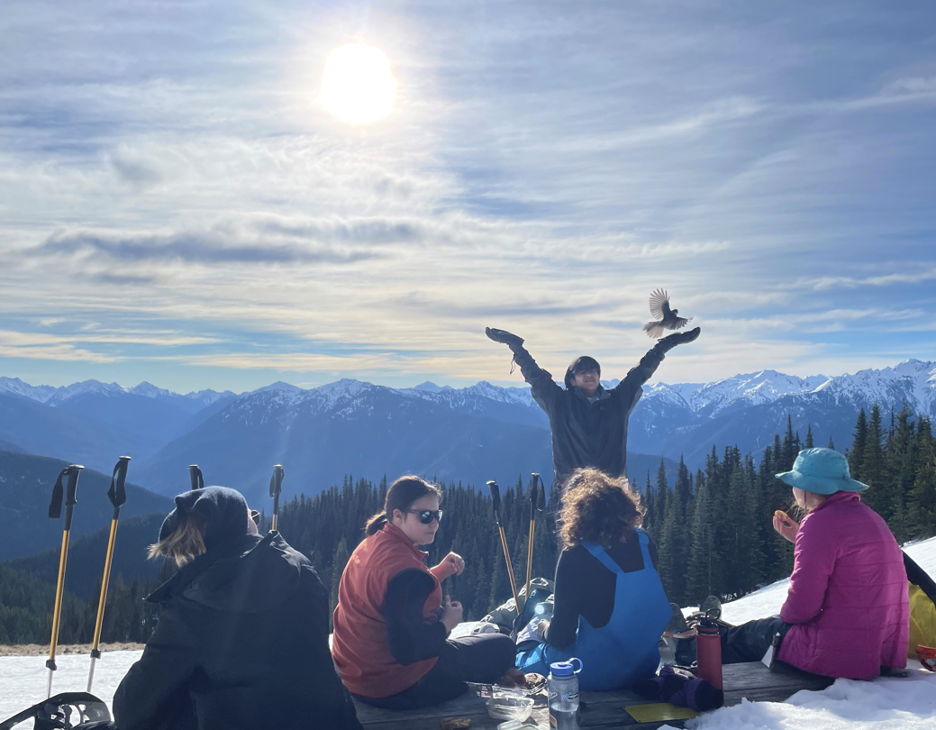 hurricane ridge